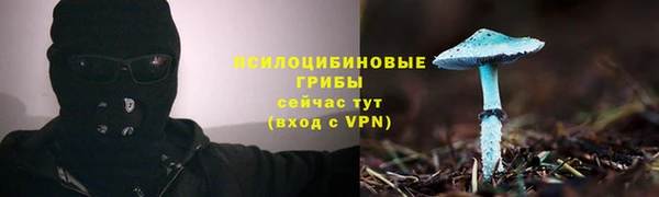 прущие крисы Алзамай