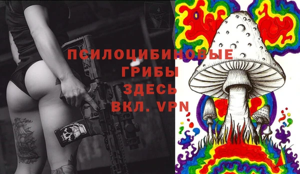 синтетический гашиш Алексин