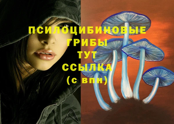 прущие крисы Алзамай